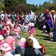 Audience Participation