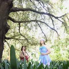 Fairies and Wombats