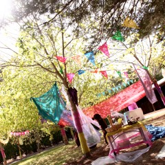 Fairy Garden at Carrick Hill