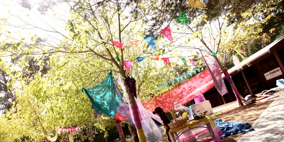 Fairy Garden at Carrick Hill