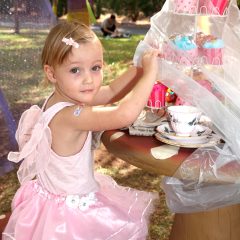 Fairy High Tea